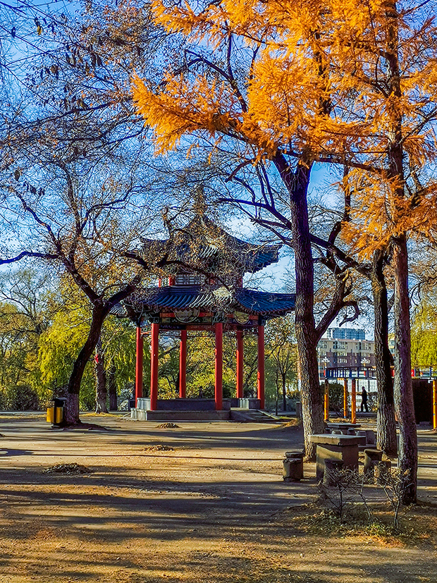 image005.jpg image005.jpg