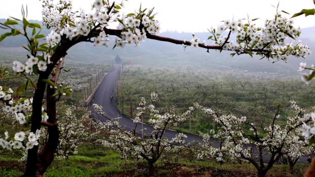 image007 (2).jpg image007 (2).jpg