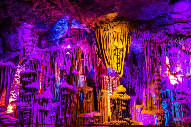 image009 (2).jpg image009 (2).jpg